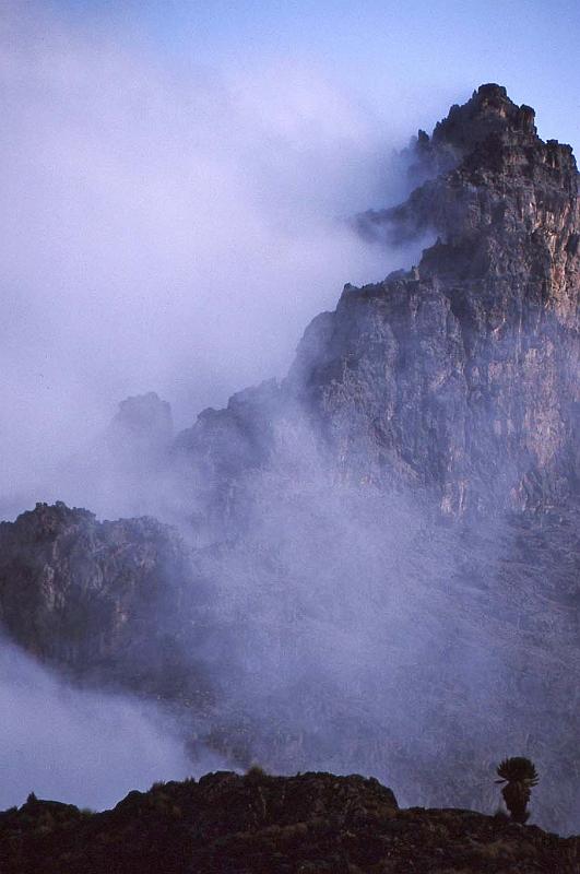 WT 1400 216-33 Kenya.jpg